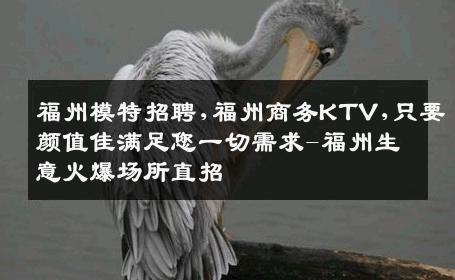 福州模特招聘,福州商务KTV,只要颜值佳满足您一切需求-福州生意火爆场所直招