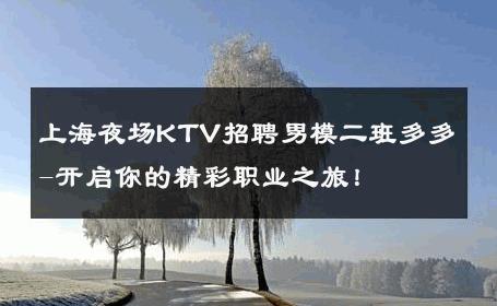 上海夜场KTV招聘男模二班多多-开启你的精彩职业之旅！ 