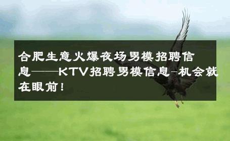 合肥生意火爆夜场男模招聘信息——KTV招聘男模信息-机会就在眼前！ 