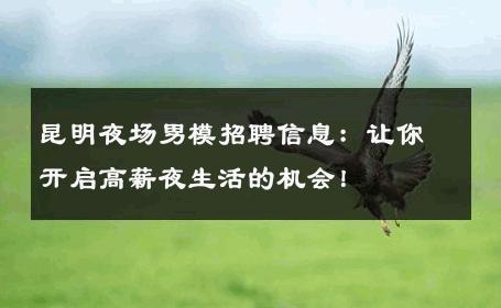 昆明夜场男模招聘信息：让你开启高薪夜生活的机会！ 
