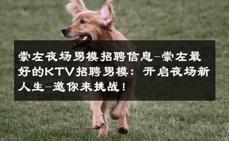崇左夜场男模招聘信息-崇左最好的KTV招聘男模：开启夜场新人生-邀你来挑战！ 