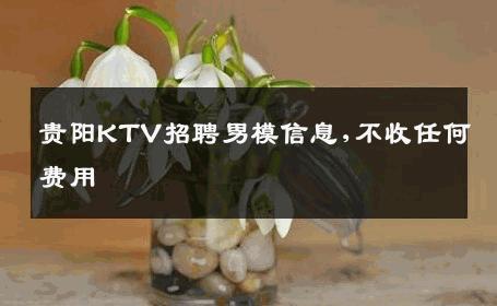 贵阳KTV招聘男模信息,不收任何费用 