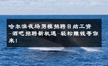 哈尔滨夜场男模招聘日结工资-酒吧招聘新机遇-轻松赚钱等你来！ 