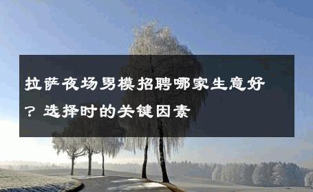 拉萨夜场男模招聘哪家生意好？选择时的关键因素 