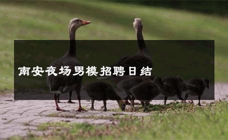 南安夜场男模招聘日结 