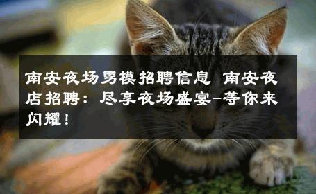 南安夜场男模招聘信息-南安夜店招聘：尽享夜场盛宴-等你来闪耀！ 