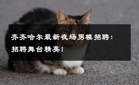 齐齐哈尔最新夜场男模招聘：招聘舞台精英！ 