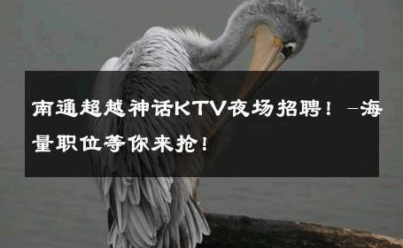 南通超越神话KTV夜场招聘！-海量职位等你来抢！ 