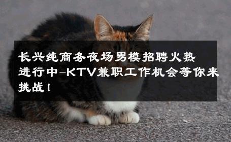 长兴纯商务夜场男模招聘火热进行中-KTV兼职工作机会等你来挑战！ 
