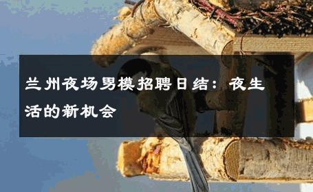 兰州夜场男模招聘日结：夜生活的新机会 