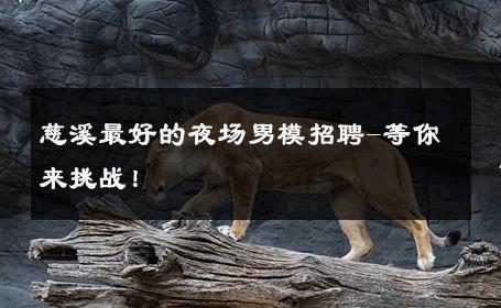 慈溪最好的夜场男模招聘-等你来挑战！ 