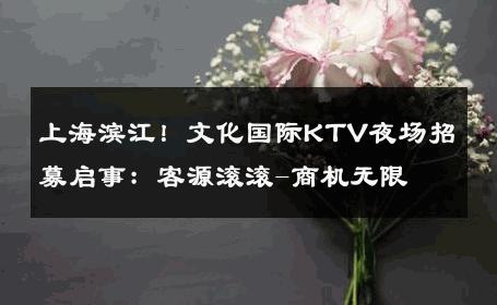 上海滨江！文化国际KTV夜场招募启事：客源滚滚-商机无限 