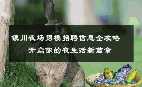 银川夜场男模招聘信息全攻略——开启你的夜生活新篇章 