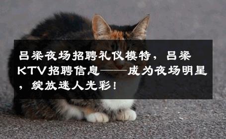 吕梁夜场招聘礼仪模特，吕梁KTV招聘信息——成为夜场明星，绽放迷人光彩！