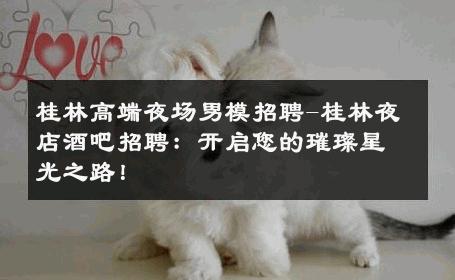 桂林高端夜场男模招聘-桂林夜店酒吧招聘：开启您的璀璨星光之路！ 