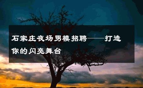 石家庄夜场男模招聘——打造你的闪亮舞台 