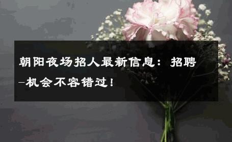 朝阳夜场招人最新信息：招聘-机会不容错过！ 