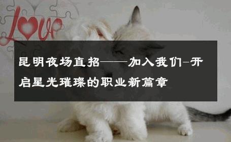 昆明夜场直招——加入我们-开启星光璀璨的职业新篇章 