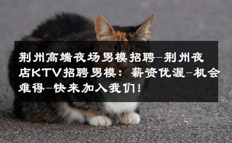 荆州高端夜场男模招聘-荆州夜店KTV招聘男模：薪资优渥-机会难得-快来加入我们！ 