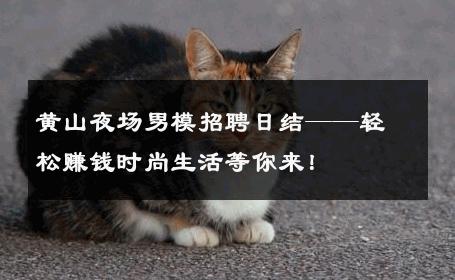 黄山夜场男模招聘日结——轻松赚钱时尚生活等你来！ 