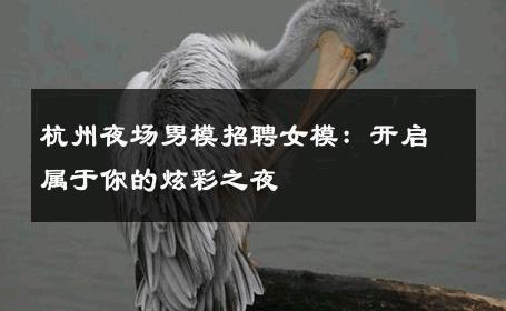 杭州夜场男模招聘女模：开启属于你的炫彩之夜 