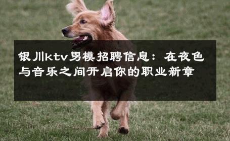 银川ktv男模招聘信息：在夜色与音乐之间开启你的职业新章 