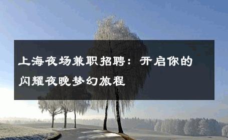 上海夜场兼职招聘：开启你的闪耀夜晚梦幻旅程 