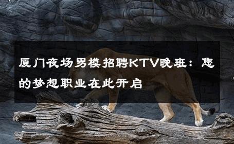 厦门夜场男模招聘KTV晚班：您的梦想职业在此开启 
