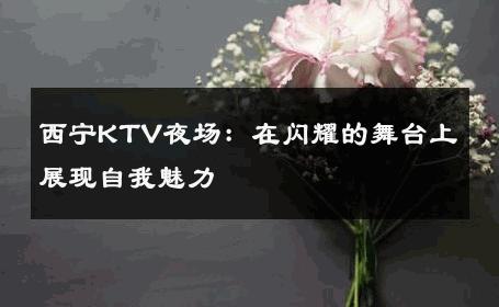 西宁KTV夜场：在闪耀的舞台上展现自我魅力 