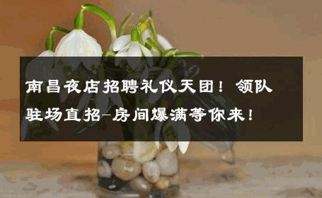 南昌夜店招聘礼仪天团！领队驻场直招-房间爆满等你来！ 