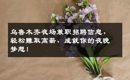 乌鲁木齐夜场兼职招聘信息，轻松赚取高薪，成就你的夜晚梦想！