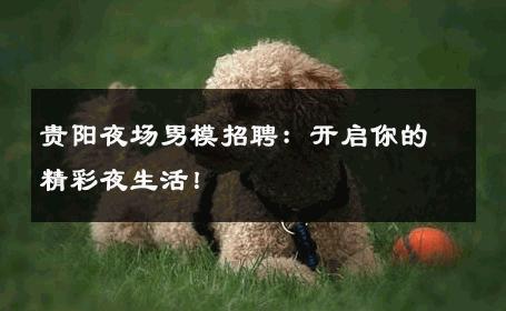 贵阳夜场男模招聘：开启你的精彩夜生活！ 