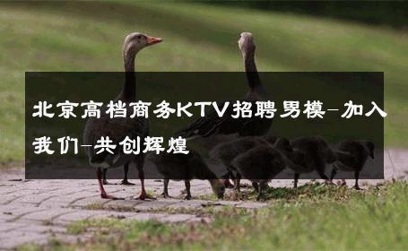 北京高档商务KTV招聘男模-加入我们-共创辉煌 