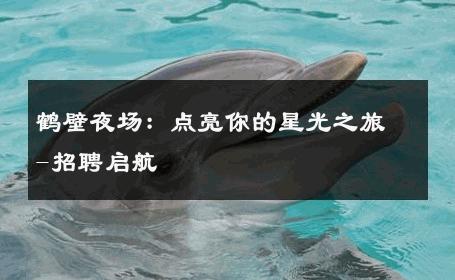 鹤壁夜场：点亮你的星光之旅-招聘启航 