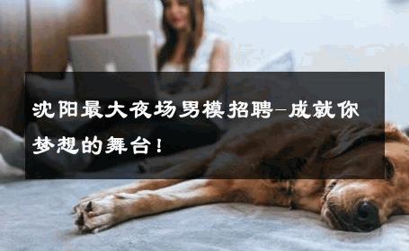 沈阳最大夜场男模招聘-成就你梦想的舞台！ 