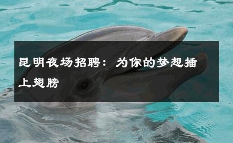 昆明夜场招聘：为你的梦想插上翅膀 