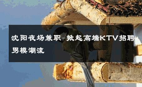 沈阳夜场兼职-掀起高端KTV招聘男模潮流 