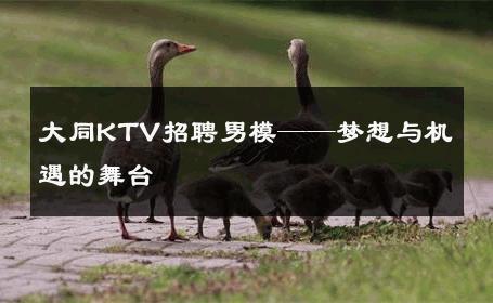 大同KTV招聘男模——梦想与机遇的舞台 
