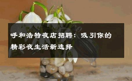 呼和浩特夜店招聘：吸引你的精彩夜生活新选择 