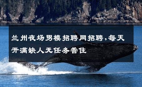 兰州夜场男模招聘网招聘,每天开满缺人无任务管住 