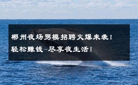郴州夜场男模招聘火爆来袭！轻松赚钱-尽享夜生活！ 