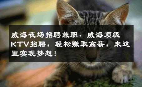 威海夜场招聘兼职，威海顶级KTV招聘，轻松赚取高薪，来这里实现梦想！