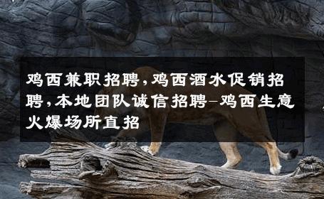 鸡西兼职招聘,鸡西酒水促销招聘,本地团队诚信招聘-鸡西生意火爆场所直招