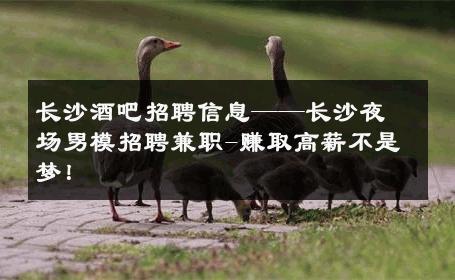 长沙酒吧招聘信息——长沙夜场男模招聘兼职-赚取高薪不是梦！ 