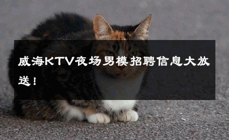 威海KTV夜场男模招聘信息大放送！ 