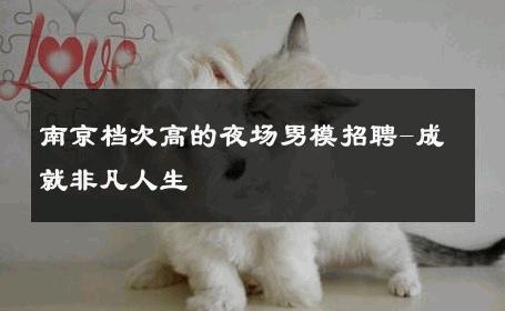 南京档次高的夜场男模招聘-成就非凡人生 