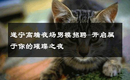 遂宁高端夜场男模招聘-开启属于你的璀璨之夜 