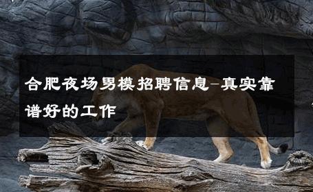 合肥夜场男模招聘信息-真实靠谱好的工作 