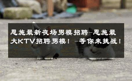 恩施最新夜场男模招聘-恩施最大KTV招聘男模！-等你来挑战！ 
