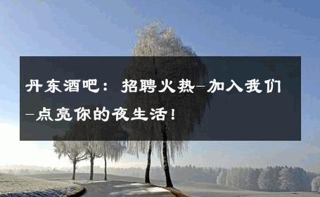 丹东酒吧：招聘火热-加入我们-点亮你的夜生活！ 